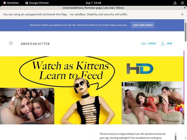 Americankittens Paysite Discounts