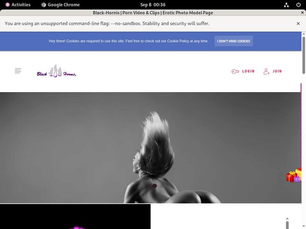 B L A C K - H O R N I S Review