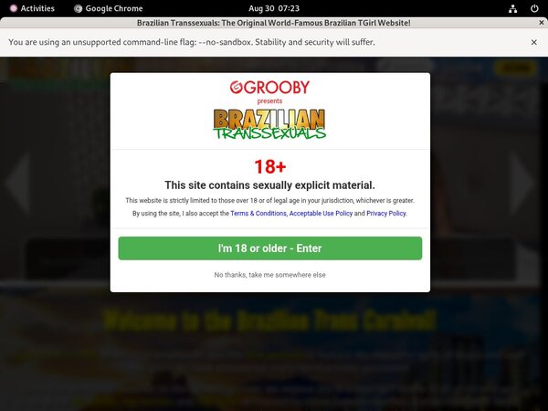 Braziliantranssexuals Hq