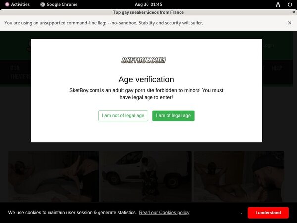 Com Sketboy Passwords
