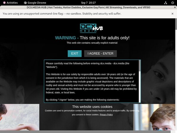 DCX Media Pornhub DCX Media Pornhub