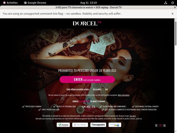 Dorceltv Password Site