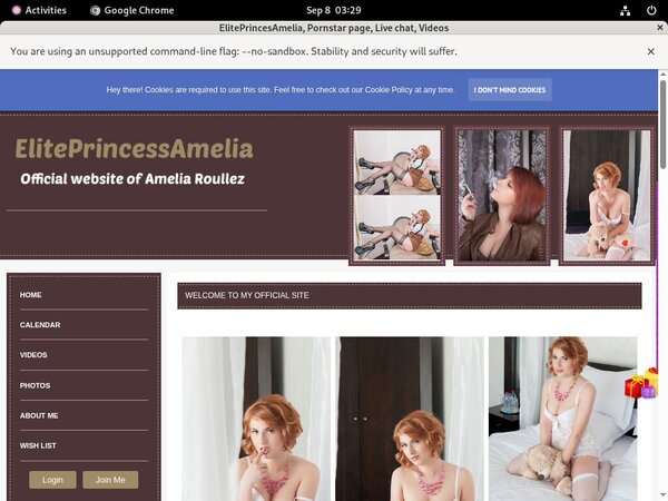 Eliteprincessamelia.modelcentro.com Bank
