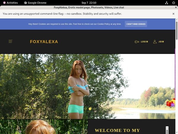 FoxyAleksa Vk