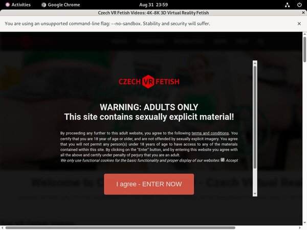 Free Czechvrfetish.com Logins