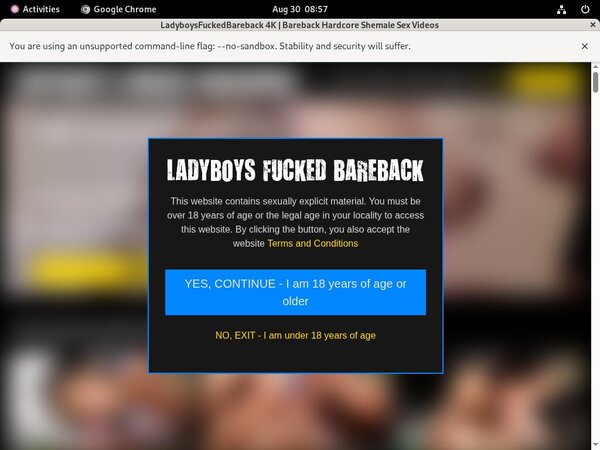 [Image: Free-Ladyboysfuckedbarebackcom-Passes.jpg]