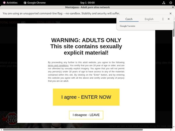 Free Mentalpass Premium Account