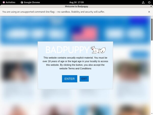 Free Passwords For Badpuppy.com