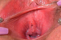 Gape My Pussy Clip Cash s3