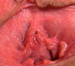 Gape My Pussypassword