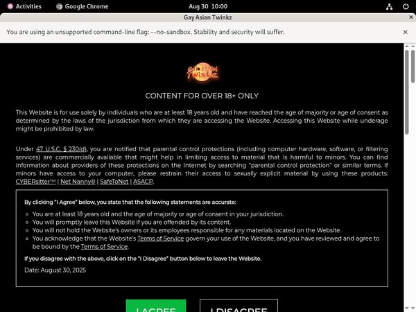 Gayasiantwinkz 1080p