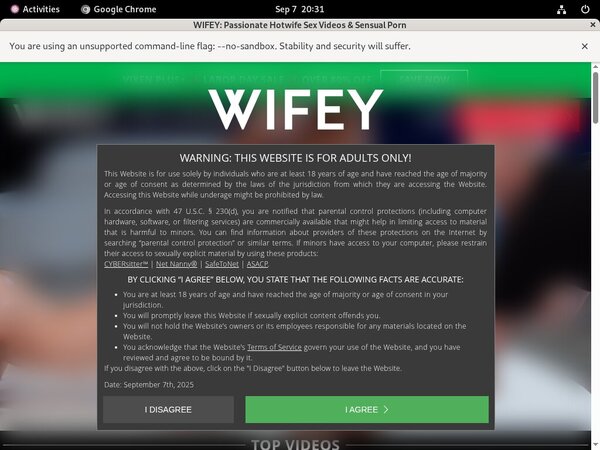 Get A Free Wifey Password