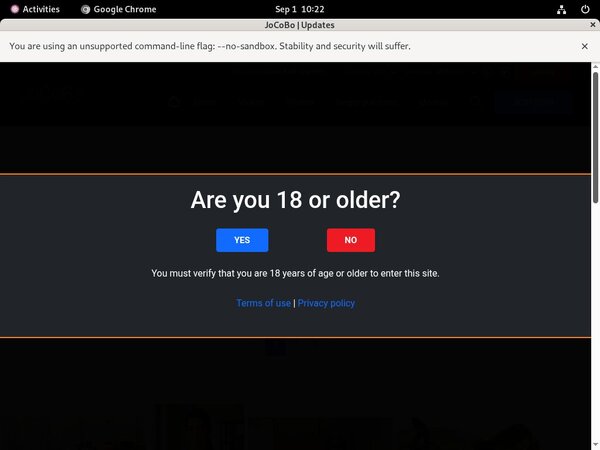 JoCoBo Passwords 2017