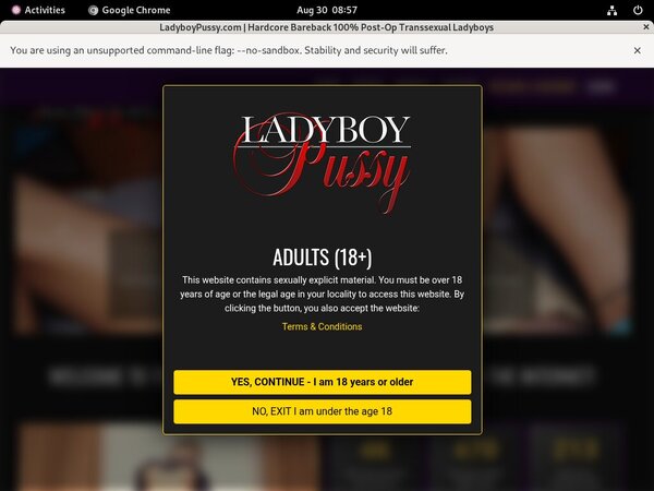 Ladyboypussy.com Full Website
