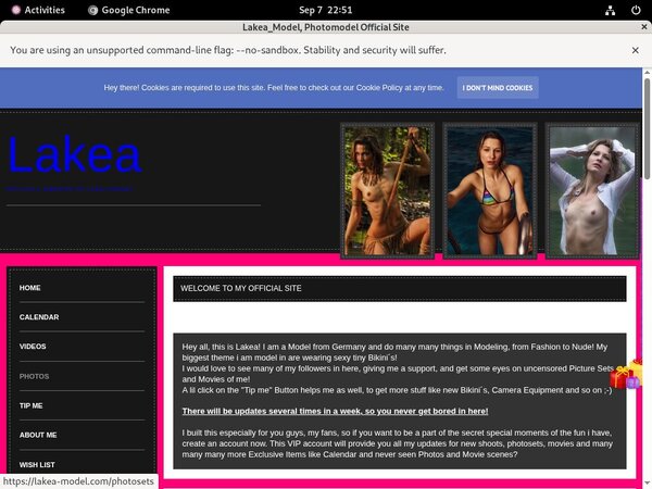 Lakea_Model Using Discount