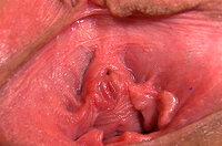 Limited Gape My Pussy Discount Offer s3