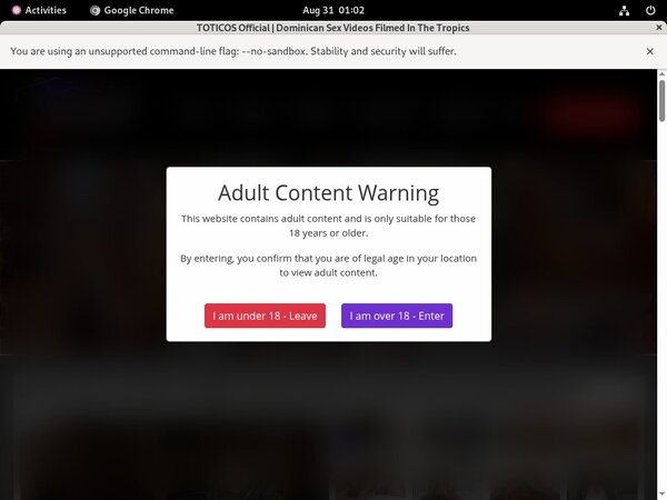 Login Toticos.com For Free