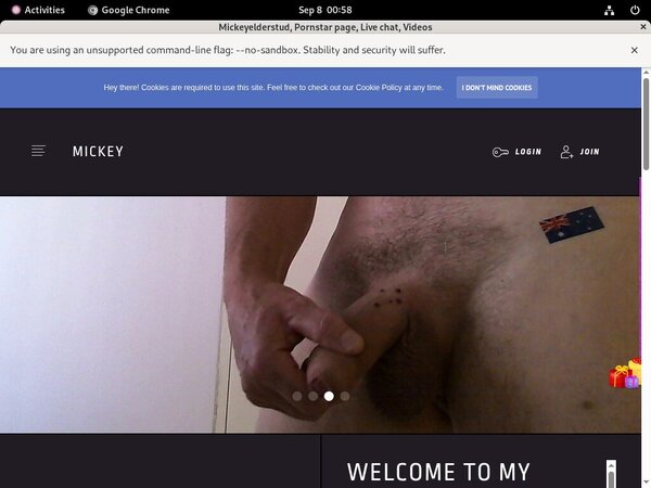Mickeyelderstud Free Access