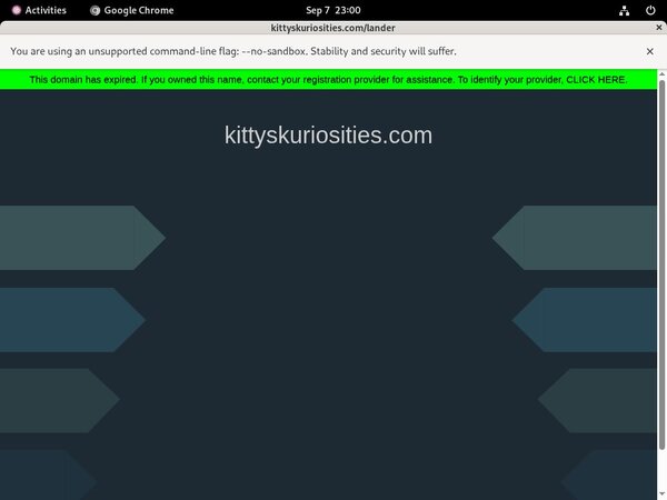 OnKitty's Kuriosities