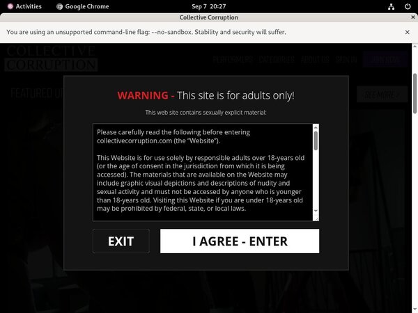 Password Collectivecorruption