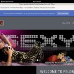 Pelonasquirterqueen.com Discount Logins