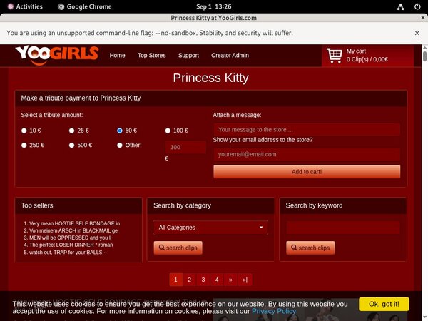 PrincessKitty User And Pass