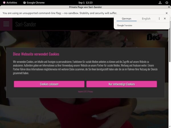 SariSander Free Login Account