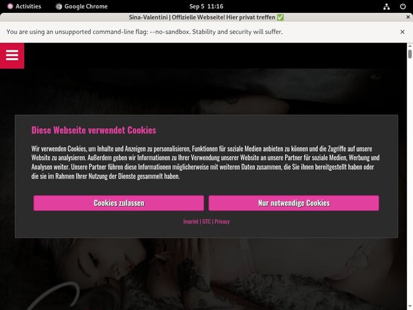 SinaValentini With Paypal Account