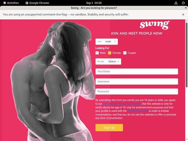Swing.net Idealgasm