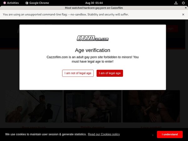 Valid Cazzo Passwords