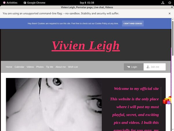 Vivienleighandme.modelcentro.com Gay Sex