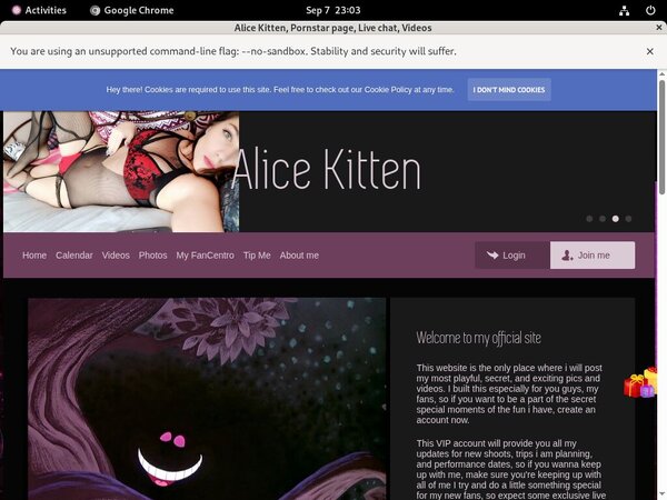 How Much Does Alicekitten.modelcentro.com Cost