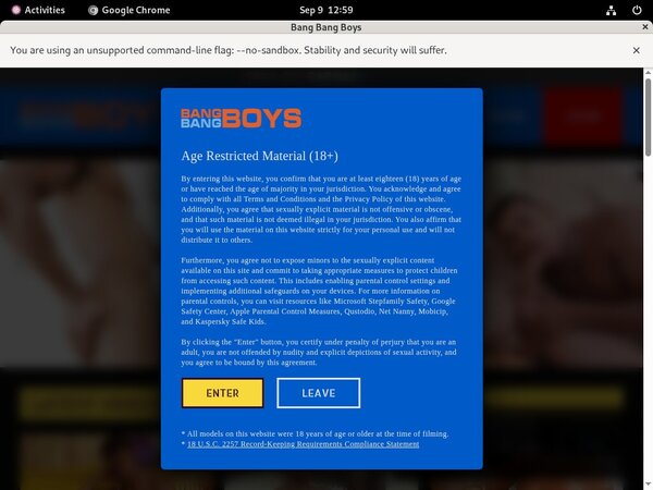 How To Get On Bangbangboys For Free