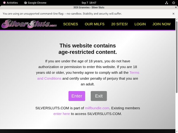 Silver Sluts Porn Clips
