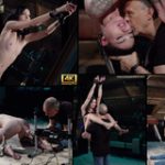 Subspaceland Trial Cost