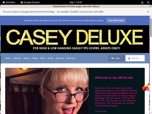 Working Caseydeluxe.club Pass