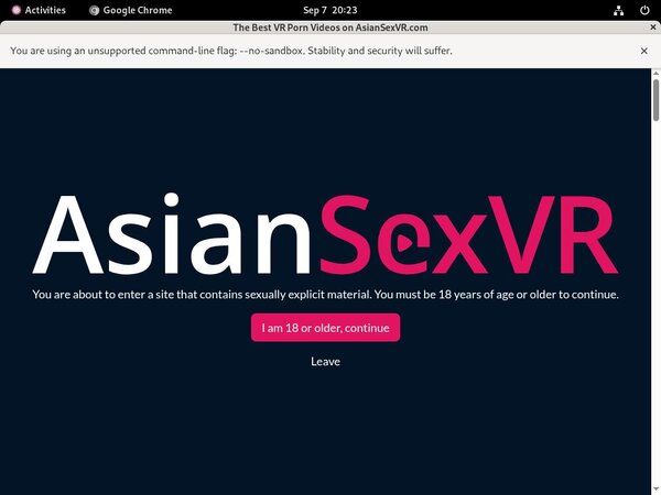 Asian VR Sex Pass