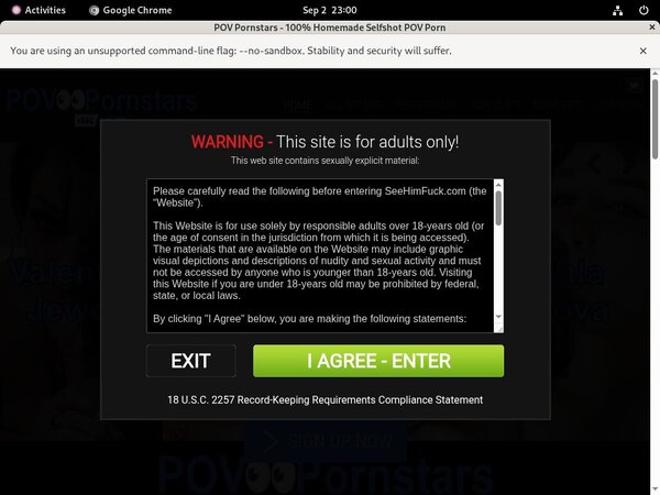 POV Pornstars With IDeal