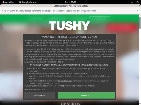 Hd Tushy Anal