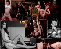 Subspace Land Trial Membership Offer s1