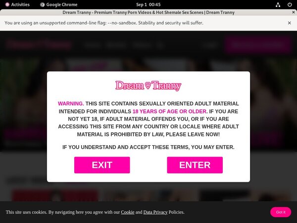 Video Dreamtranny.com