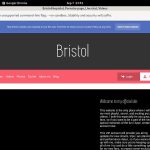 What Is Bristolthepistol