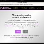 Silversluts Password Blog